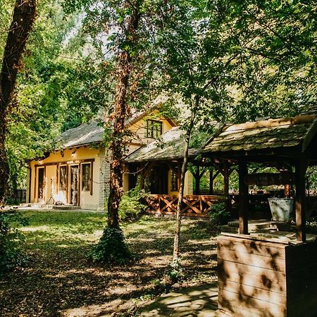 Forest House Palic Exterior photo