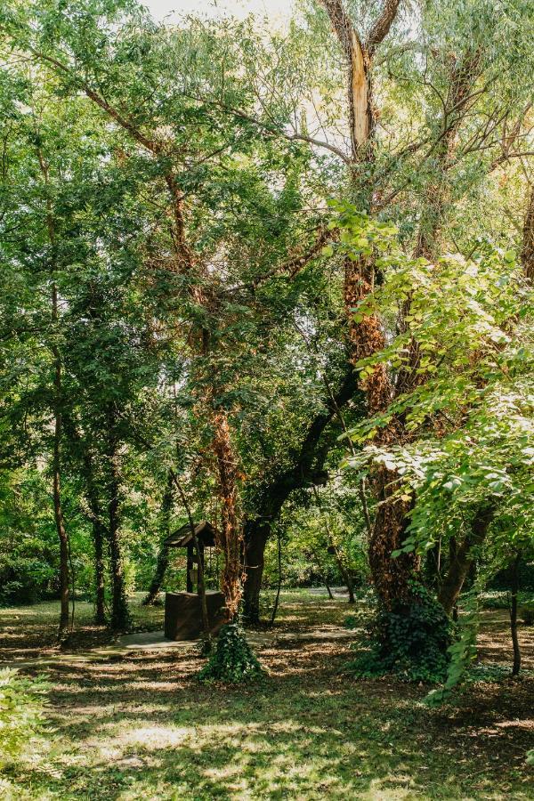 Forest House Palic Exterior photo