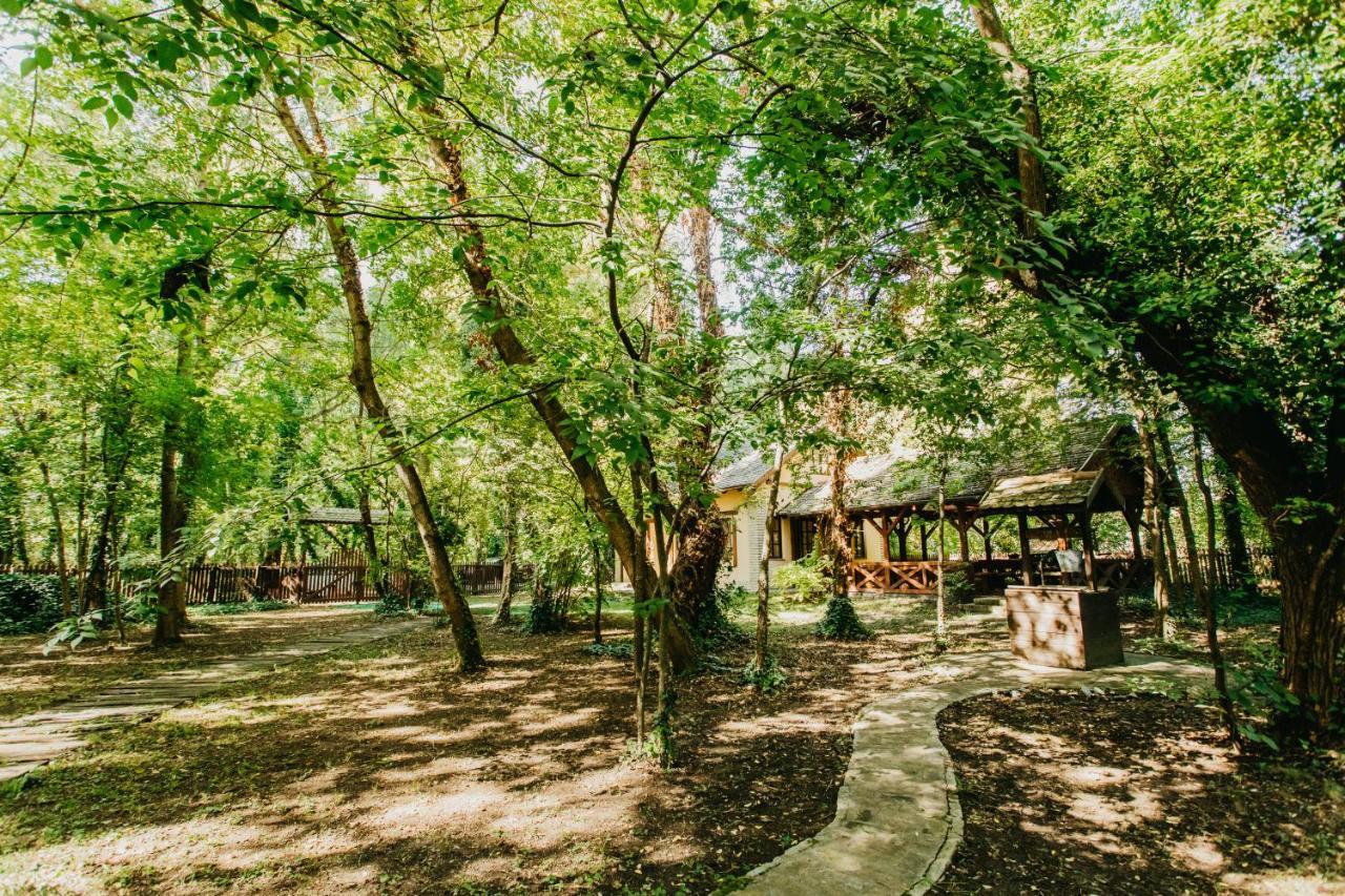 Forest House Palic Exterior photo